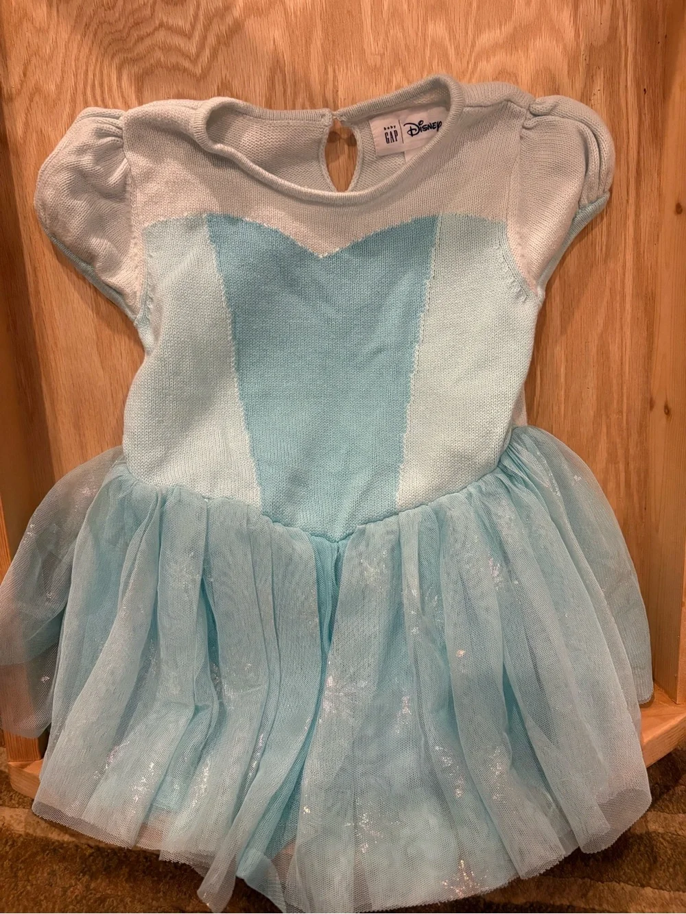 Gap × Disney Toddler Frozen Elsa Tulle Dress